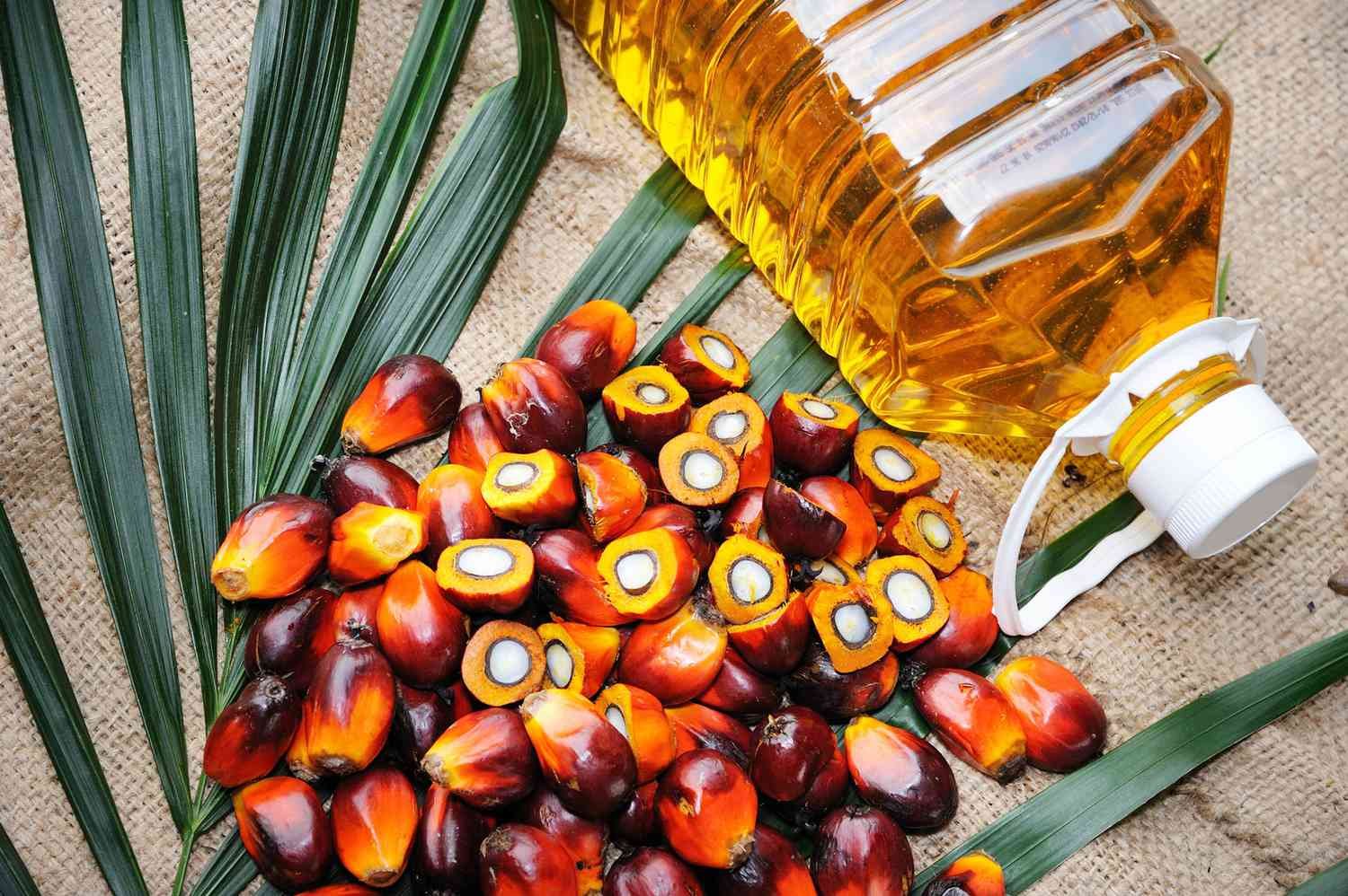 Export momentum lifts palm oil, but cost pressures cap gains