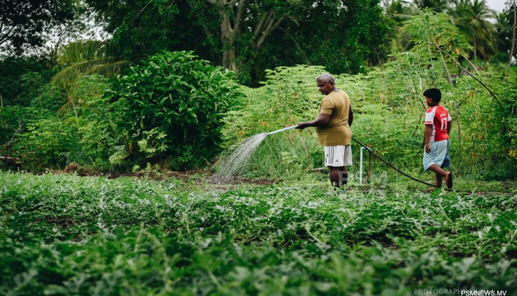 Govt of India permits export of essential commodities to Republic of Maldives for FY 2026-27