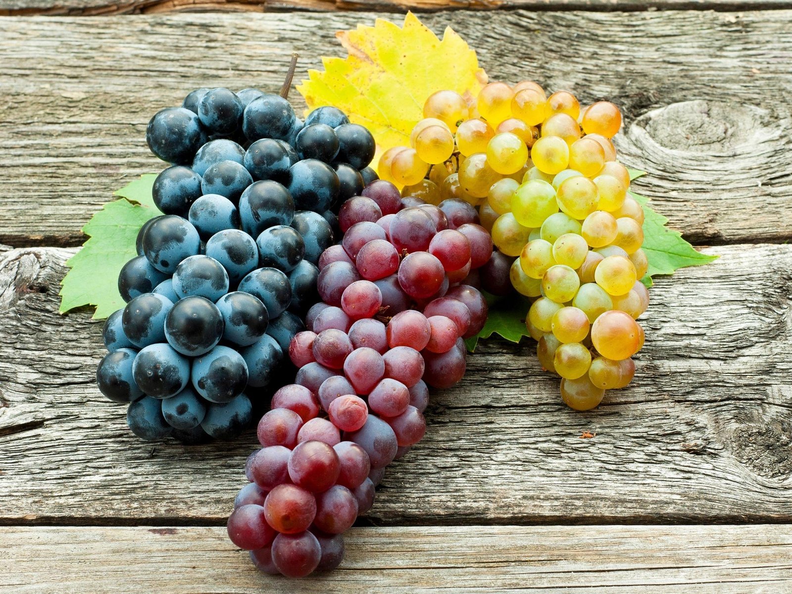 Indian grape markets witness wide price gaps amid fragmented supply on April 24, 2026