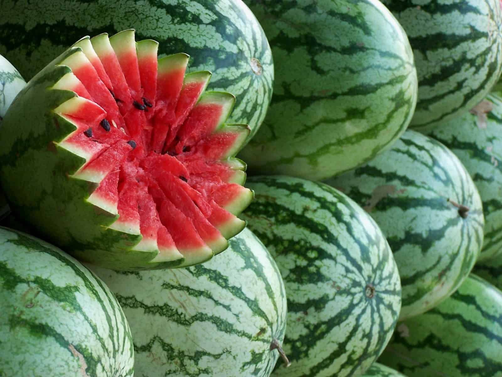 Watermelon markets show structural divide between volume hubs and value markets