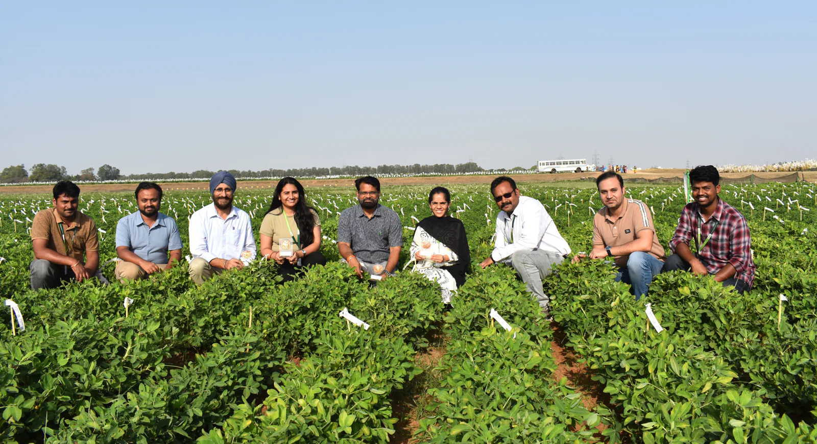 ICRISAT scientists decode the genetics behind seed coat removal in industry-ready groundnut