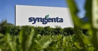 Syngenta FY25 EBITDA rises 13 per cent to Rs 36,500 Cr; margins at 15.4 per cent