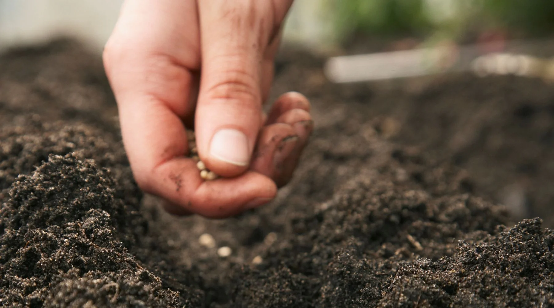 India’s summer crop sowing reaches 66.14 Lakh Hectares in 2026