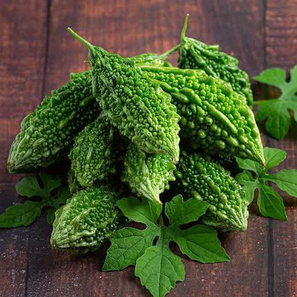 Bitter Gourd prices show wide regional divergence across India on April 20