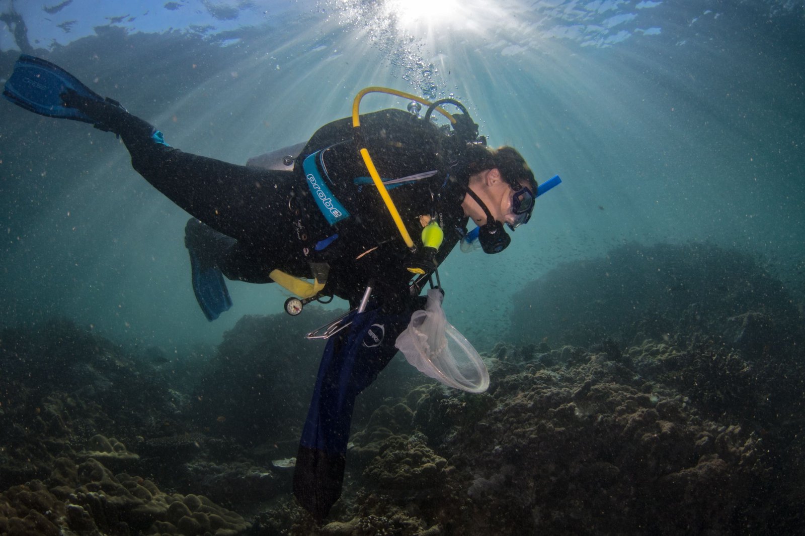 75% of marine protected areas hit by pollution:  Wake-up call for global conservation