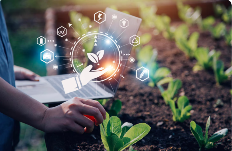 Wipro clinches $1-billion Olam deal for agri-tech pivot