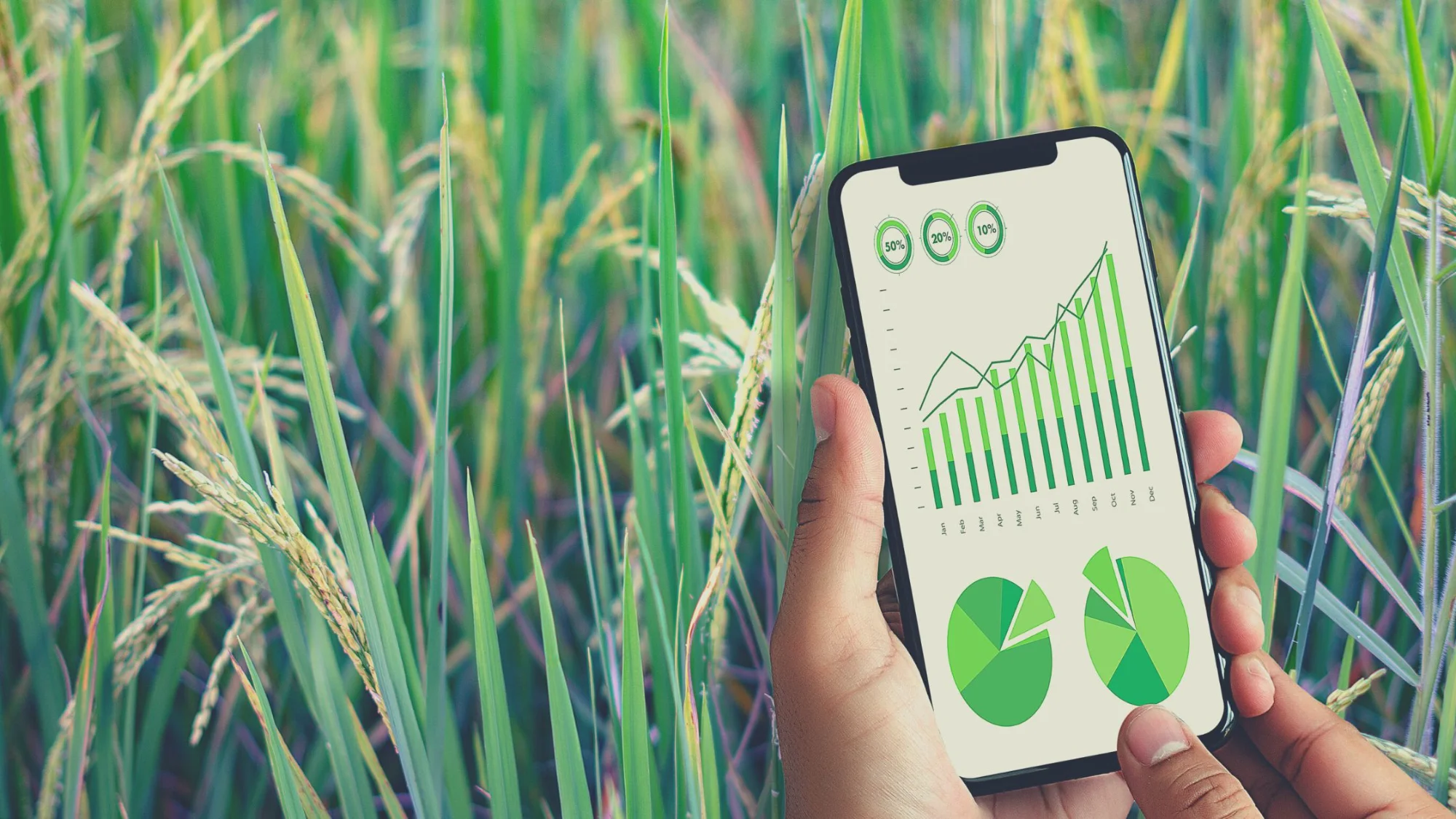 Rajasthan agriculture department partners with Wadhwani AI to deploy AI-Driven systems across state agriculture ecosystem