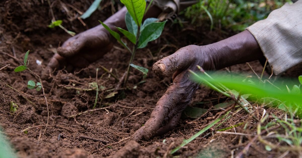 Scaling regenerative agriculture for food security and climate resilience in India- National convening by Nature Conservancy & CII FACE