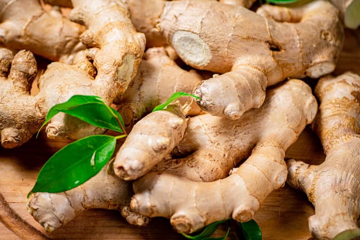 Rs 189.79 Cr Mizoram Ginger Mission launched to build global value chain for GI-tagged ginger