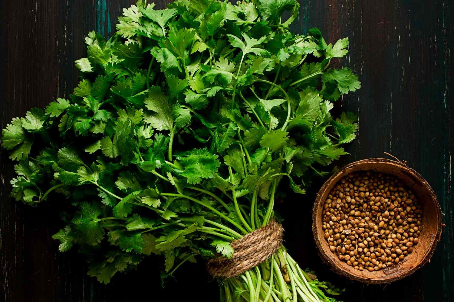 India’s vegetable markets witness sharp coriander inflation in key consumption hubs