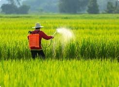 Bio-Fertilisers could help India achieve up to 40% lower farm emissions, says FAI Director General