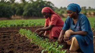 Memory of land: Women, partnership, and quiet transformation of global agriculture