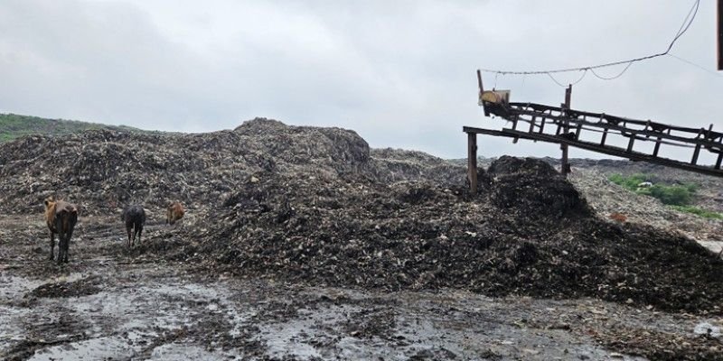 University of Leeds-led international research partnerships support India’s path to cleaner cities and net-zero goals