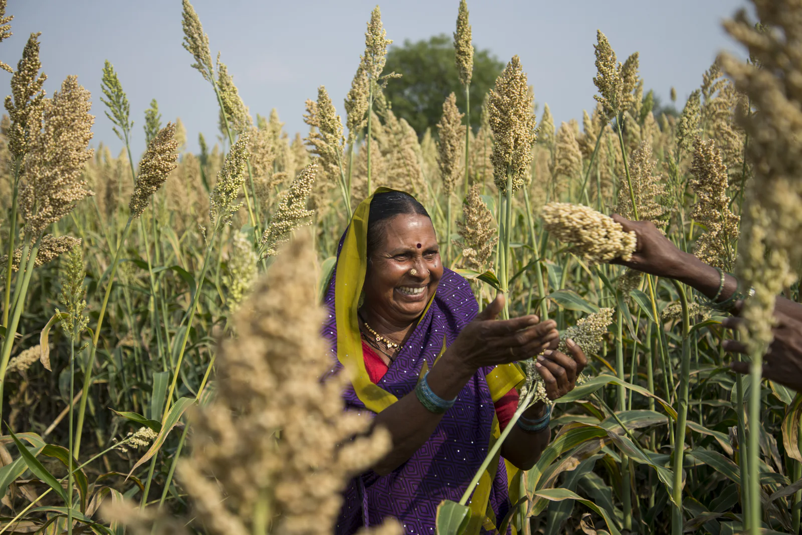 Why agri-input dealers matter more than ever in era of agricultural uncertainty