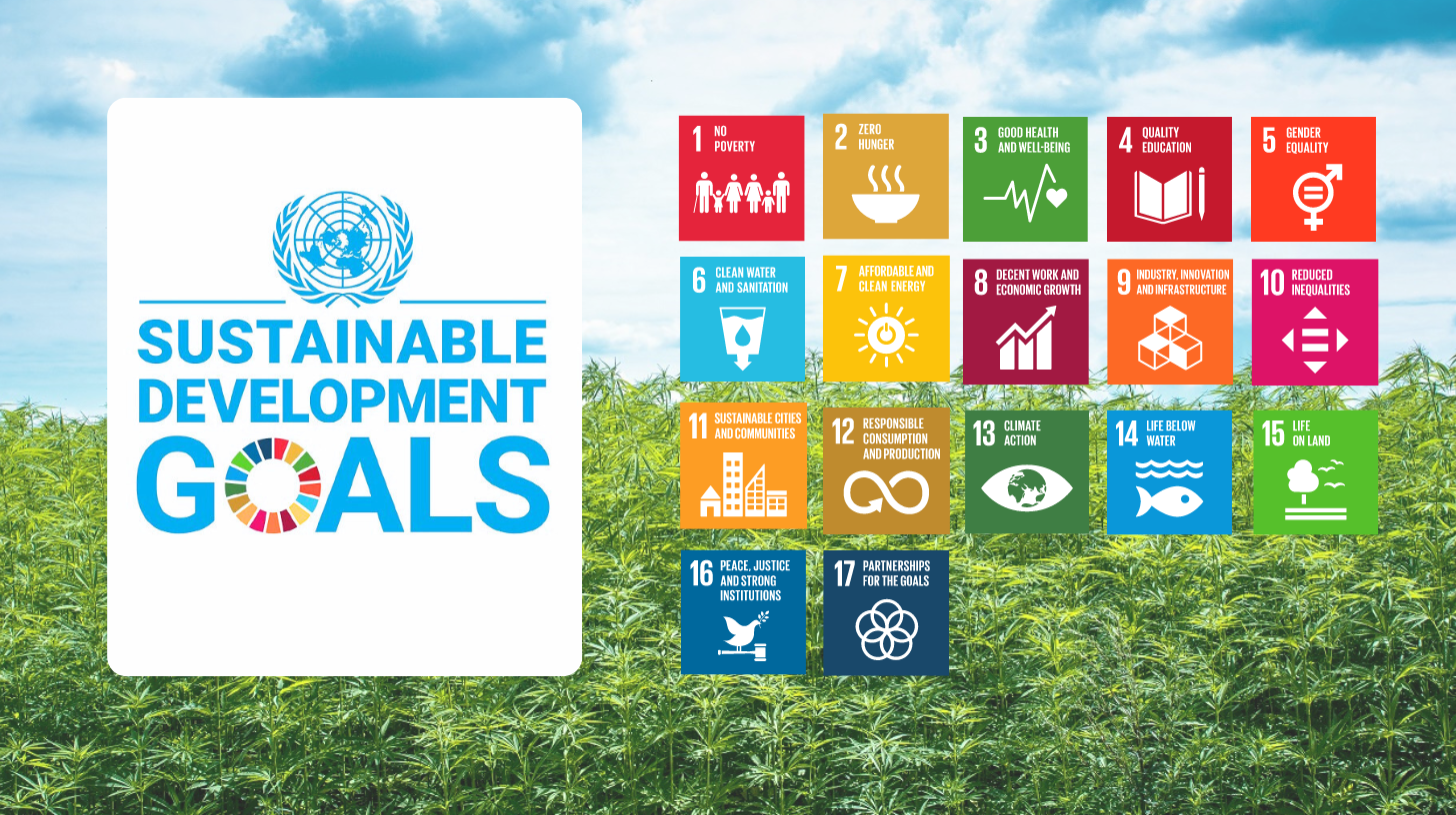 Odisha and United Nations explore deeper collaboration to advance SDGs and climate-resilient development