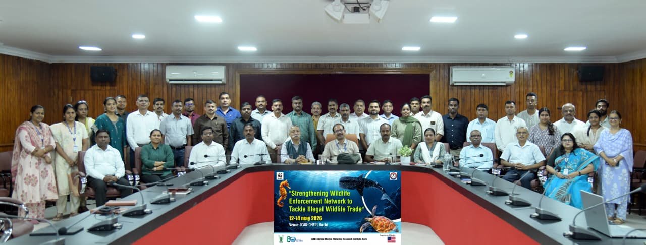 Integrated conservation framework proposed to tackle illegal marine wildlife trade