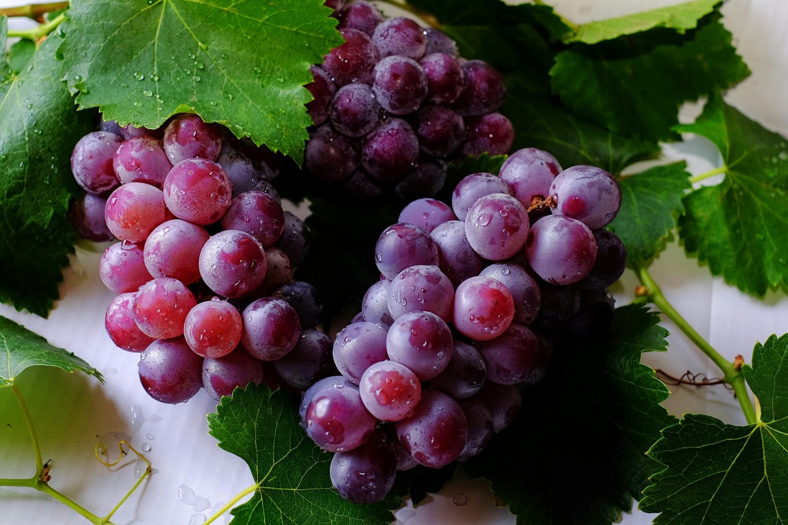 Indian grapes gain market access to Vietnam