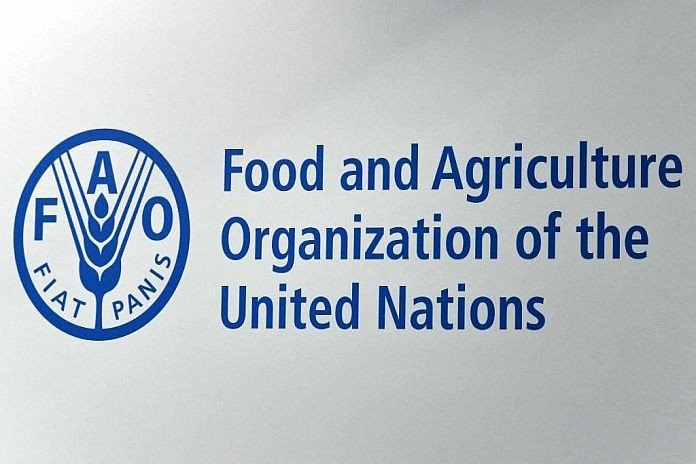 FAO unveils new data domain tracking agricultural research and development trends