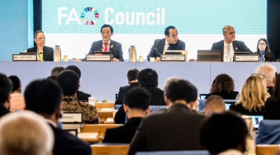 Strait of Hormuz crisis: Fertilizer scarcity will affect next harvests and food supplies, FAO warns