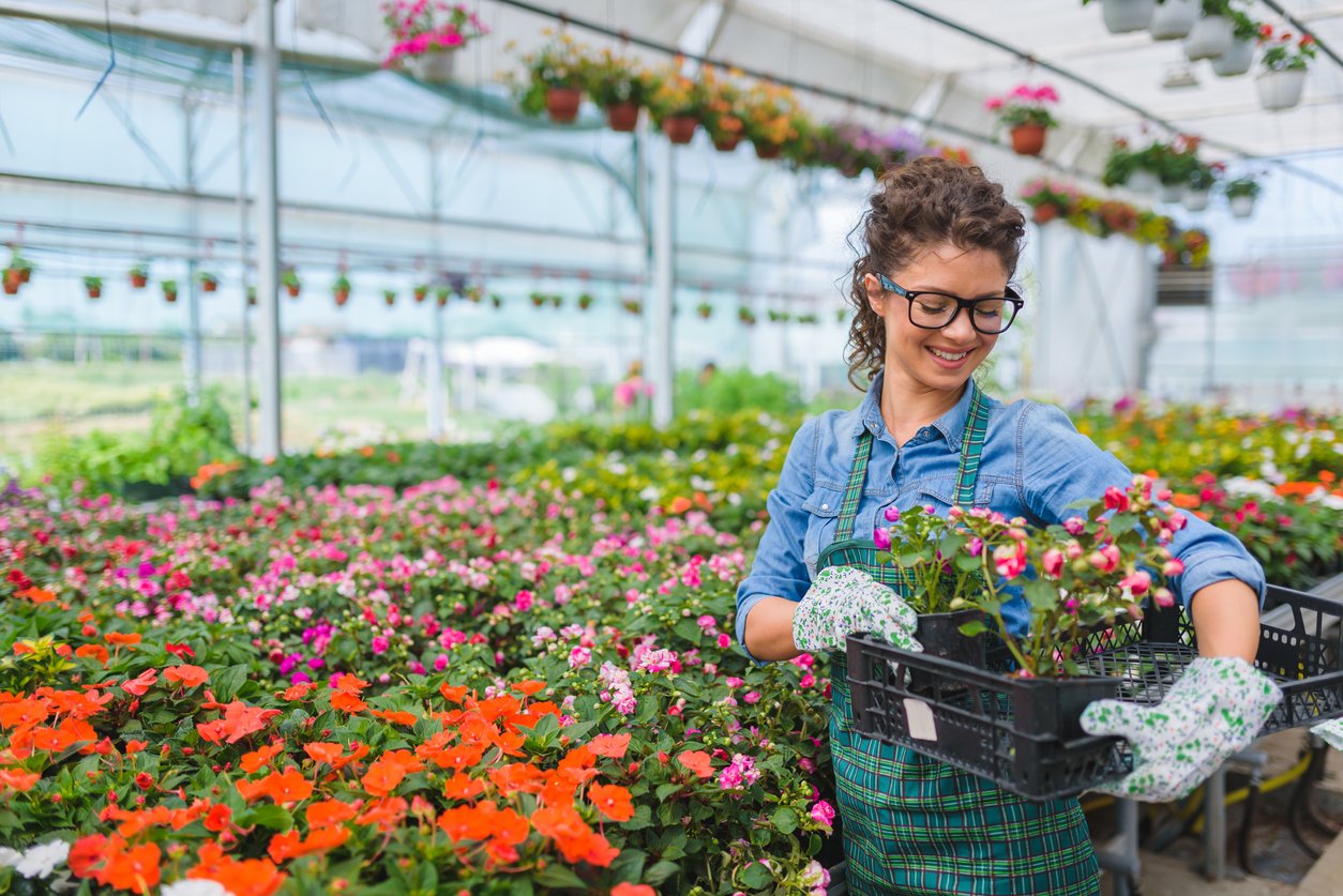 Professional horticulture: sustainability also starts with packs, pots, and trays