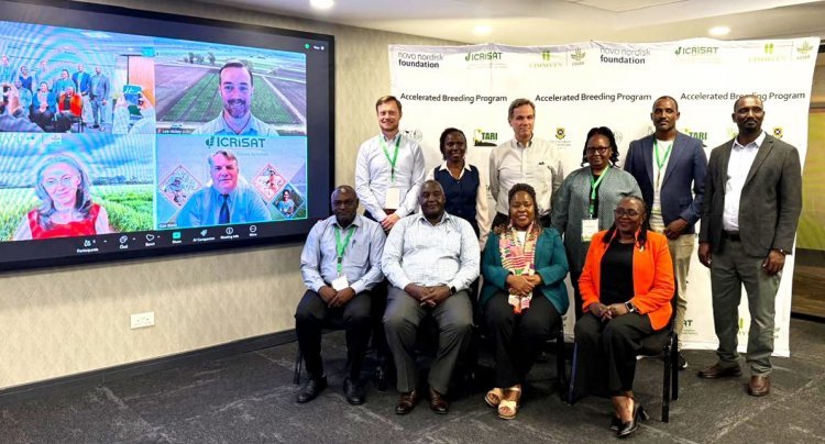 ICRISAT, CIMMYT launch climate-smart breeding mission
