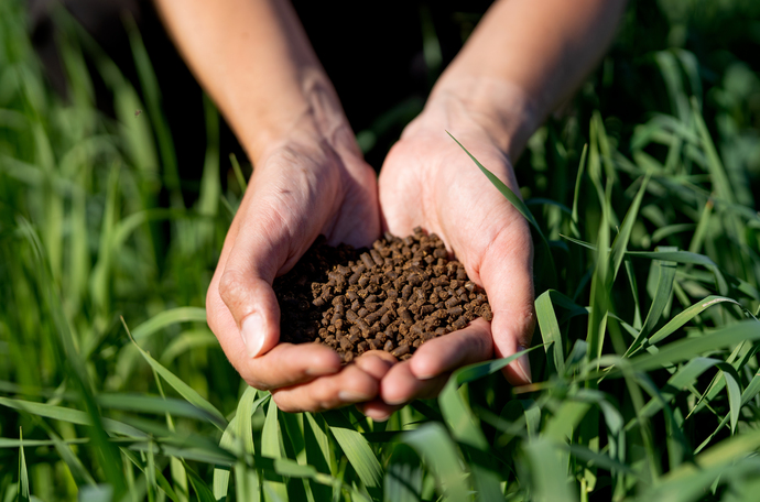 Global fertilizer trade hits $81 Bn as energy volatility, Strait of Hormuz disruptions and geopolitical risks reshape supply chains: FAO