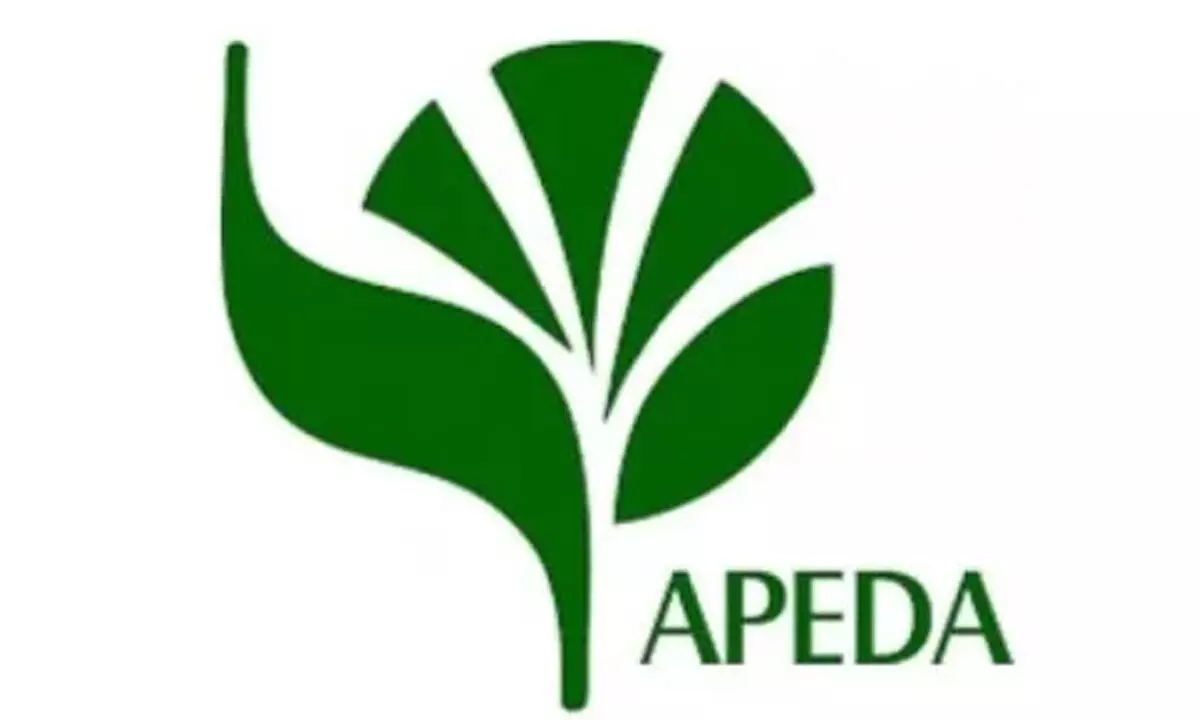 APEDA opens new route for organic exports to US, eases import rules for NOP-Certified ingredients