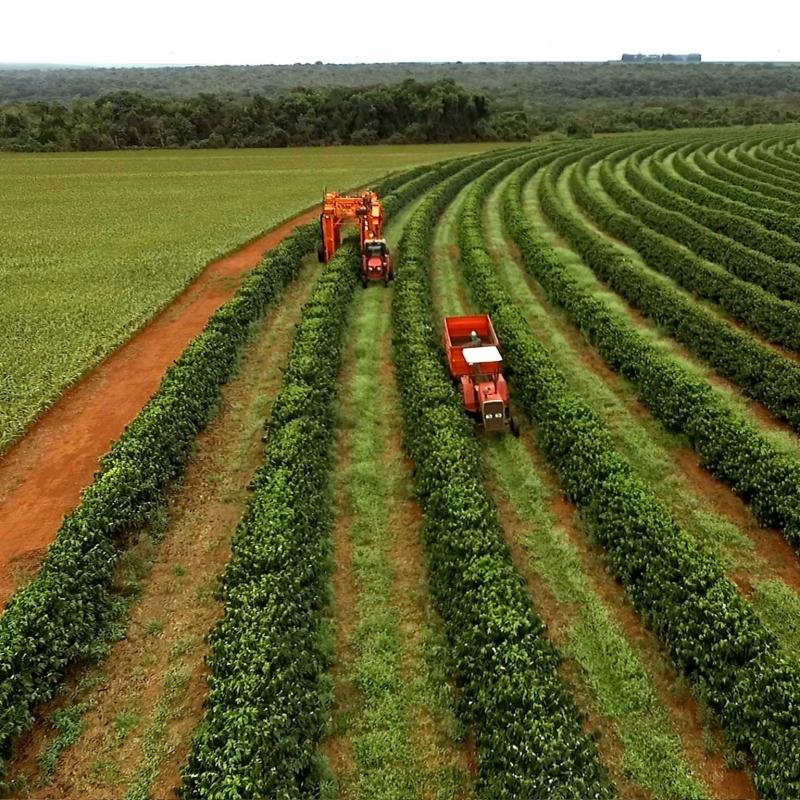 Brazil’s $169 Bn agribusiness success story is running into logistics crisis