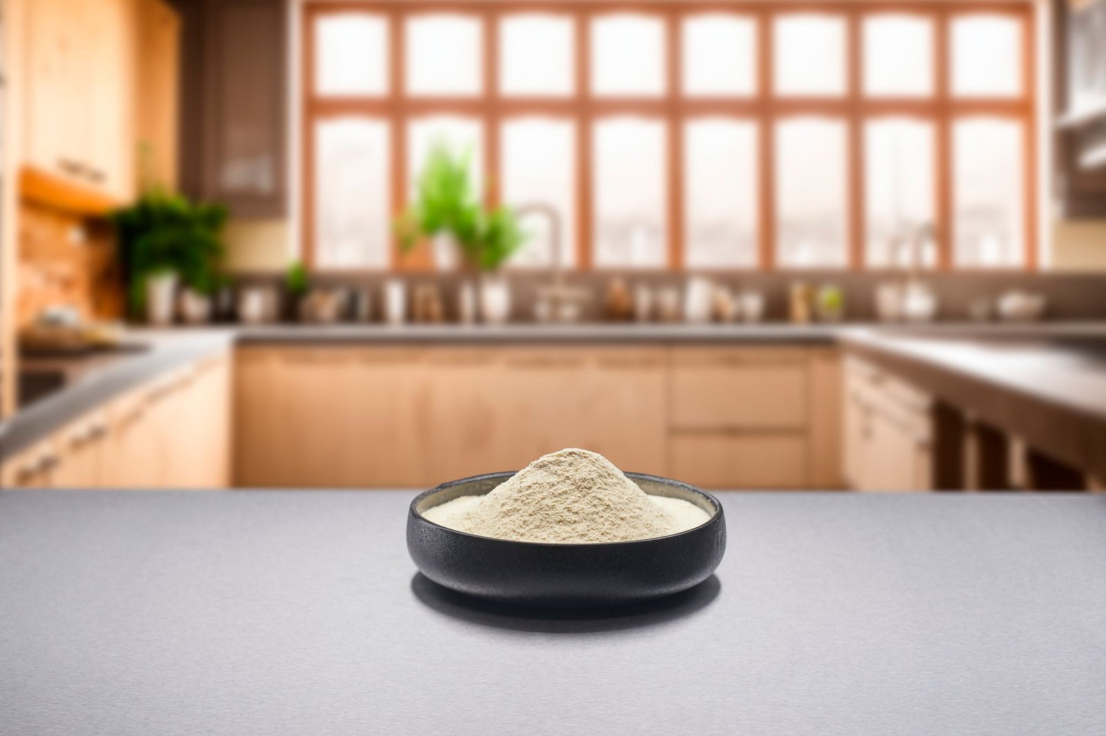 Protein Brewery achieves regulatory breakthrough as Fermotein becomes EU’s first approved mycelium ingredient