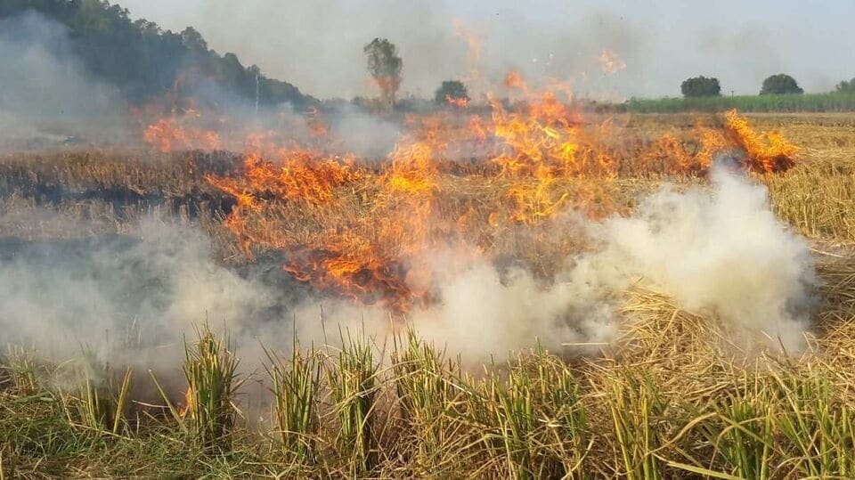 Centre unveils multi-pronged strategy to eliminate stubble burning, allocates Rs 544 Cr for 2026-27