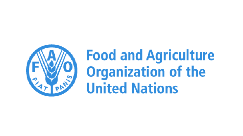 FAO Food Price Index broadly stable in May 2026 even as cereal quotations increase