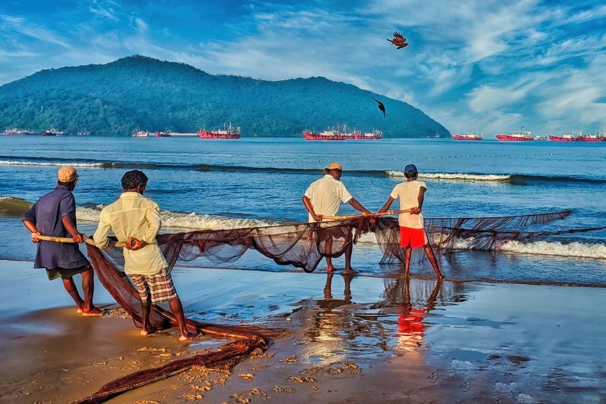 SOFIA 2026: Global fisheries and aquaculture production reaches new highs