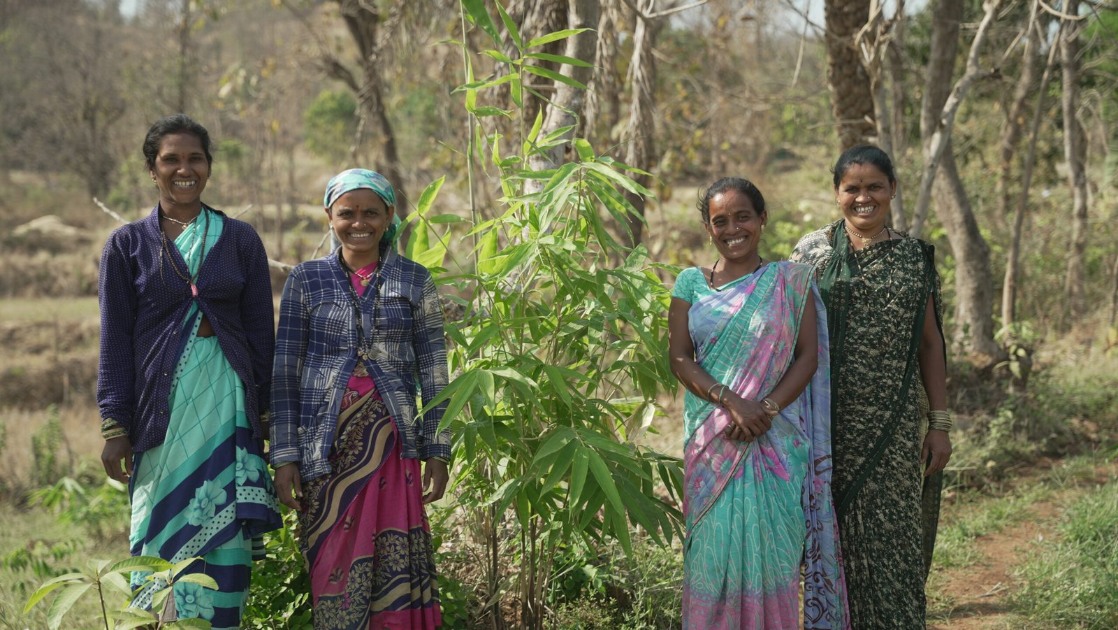 Industree Foundation secures India's first FSC forest management certification for smallholder bamboo farmers, opening doors to global markets