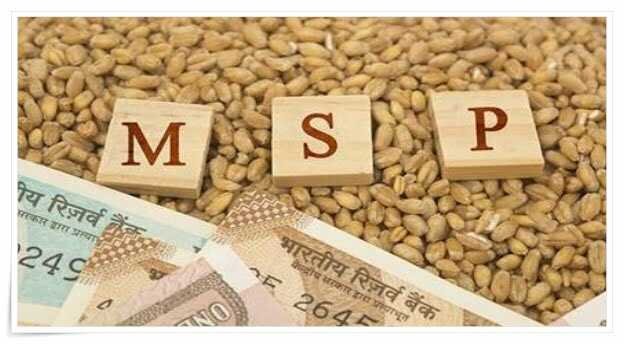 MSP safety net under pressure as 13 key crops trade below support prices