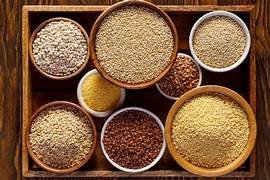 India’s cereal markets diverge as paddy gains momentum while wheat extends decline