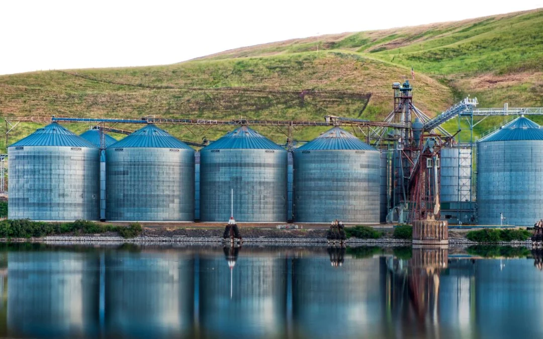 India's water storage outlook hinges on monsoon progress