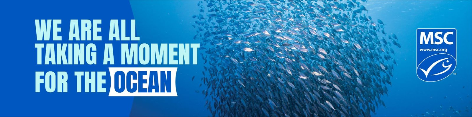Global fisheries sustainability declines as FAO calls for stronger action against overfishing
