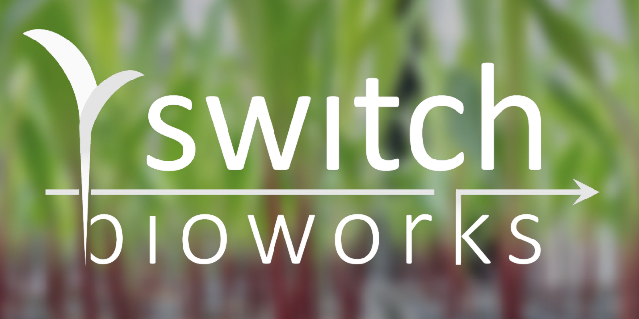 Switch Bioworks advances novel microbial fertilizer into first-in-class field trials
