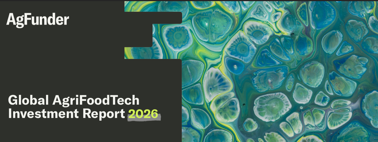 India leads emerging agrifoodtech markets as climate solutions attract bigger investment bets