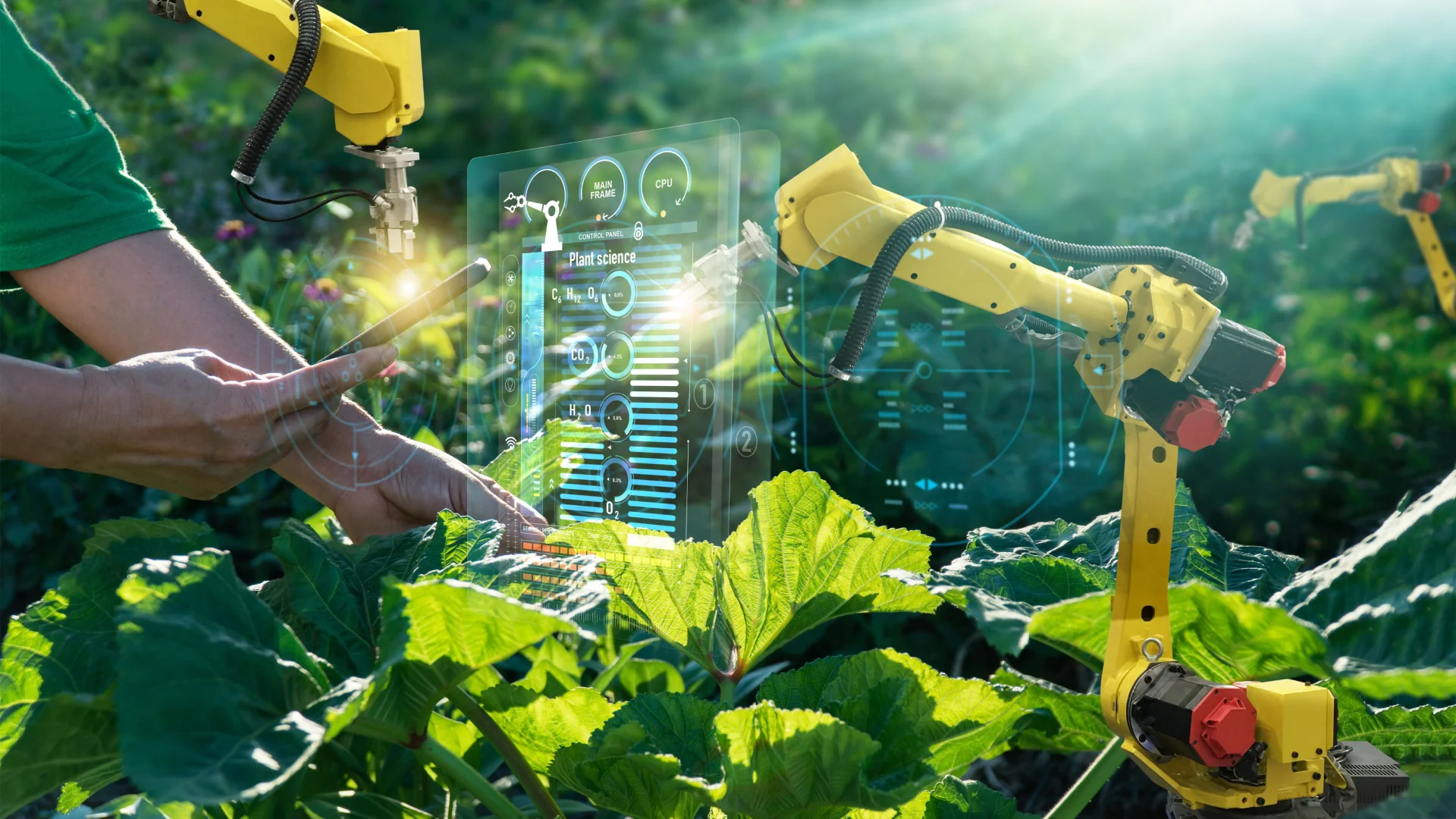 Can AI stabilise India's climate-stressed agriculture?