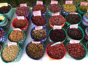 BIS releases IS 20201:2026 to safeguard indigenous crop varieties and align with SDG2