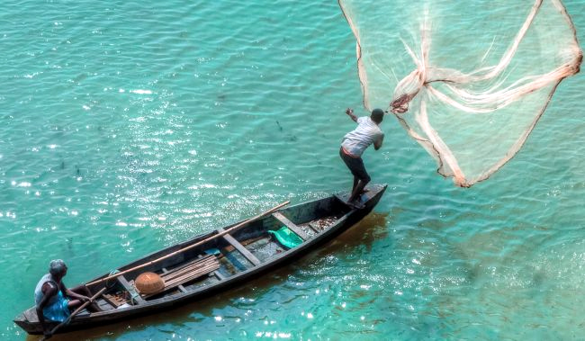 Casting wider net: How India’s fisheries sector is navigating growth amid climate and infrastructure challenges