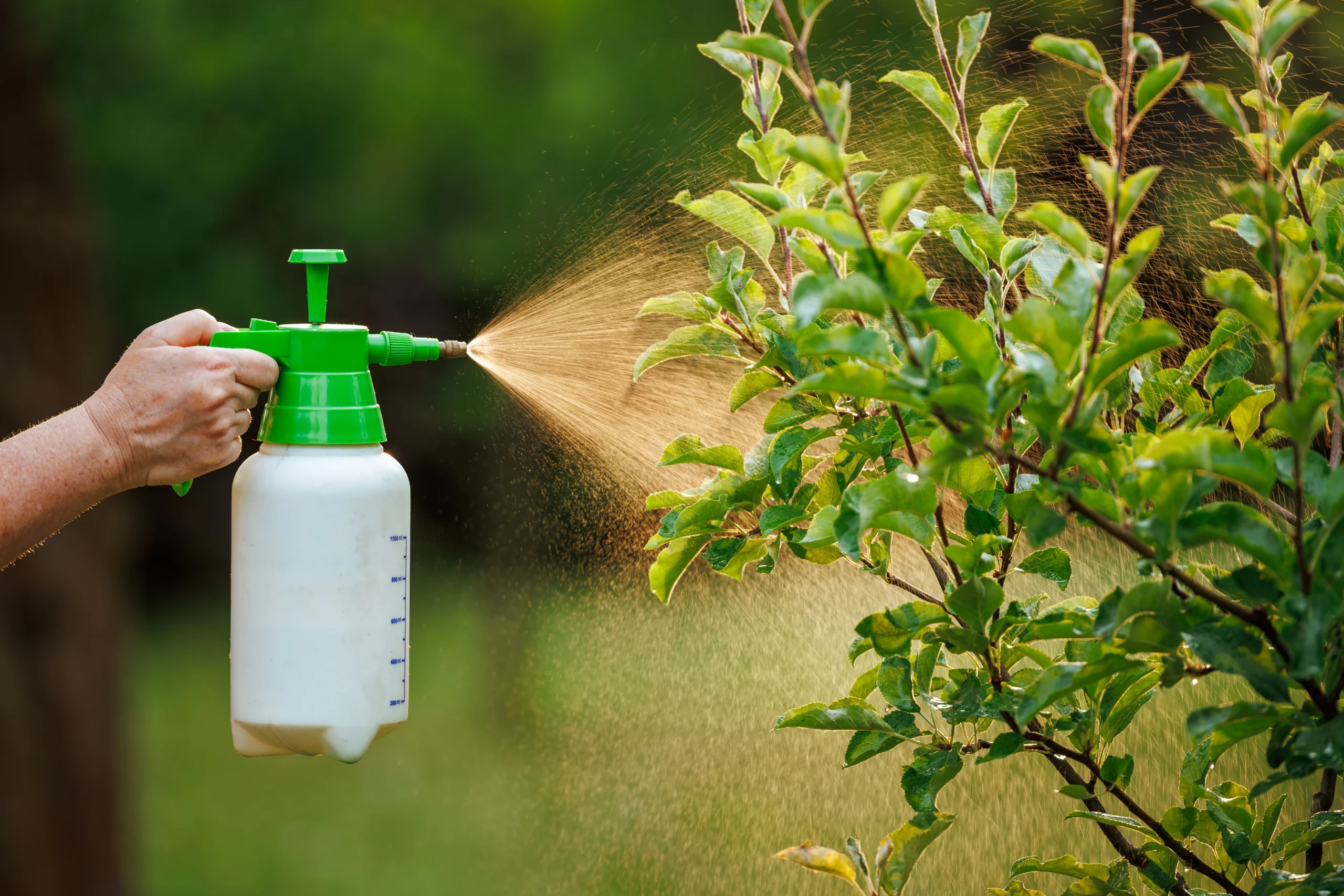 India accelerates digital overhaul of Insecticide Regulation with new compliance framework