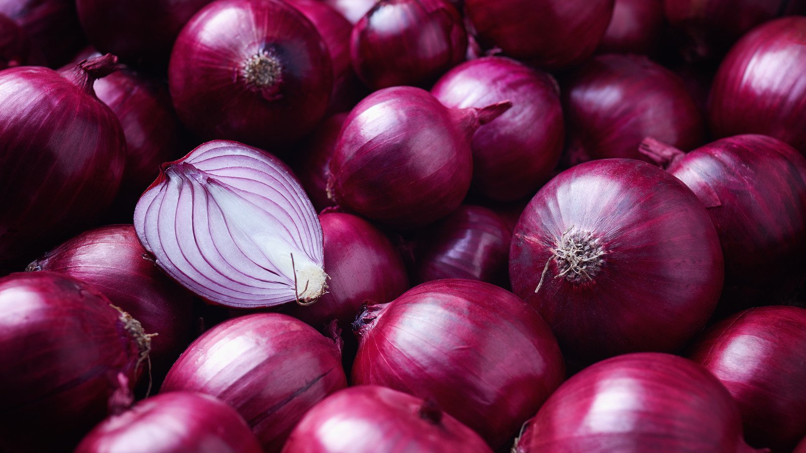Centre expands price stabilisation playbook with higher onion procurement incentive