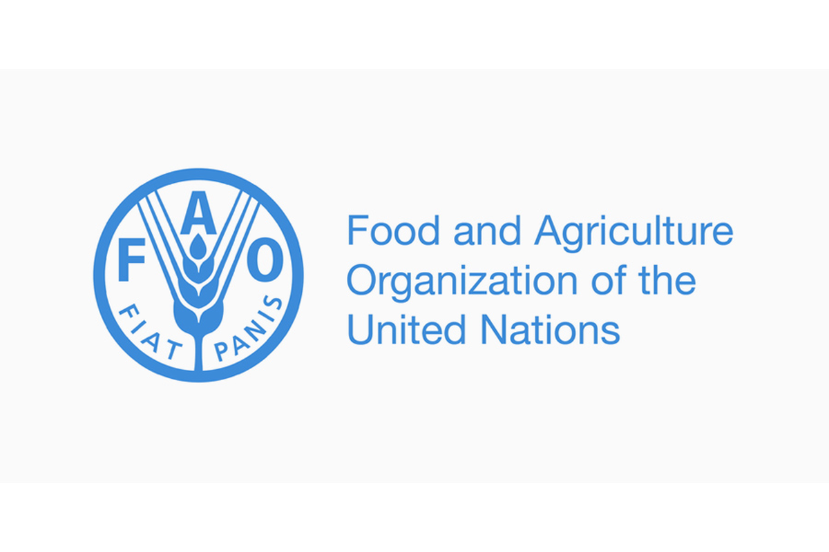 From record growth to impact: FAO welcomes ambitious new funding cycle of Global Environment Facility