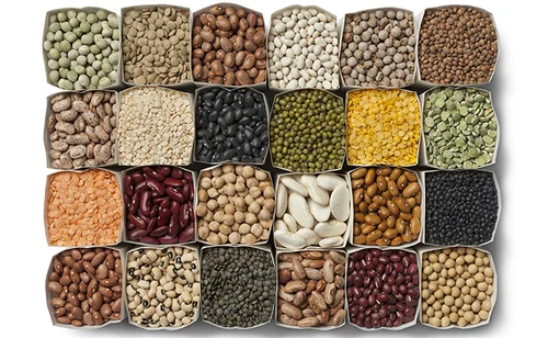 Centre approves large-scale procurement of pulses and oilseeds under PSS in 4 states