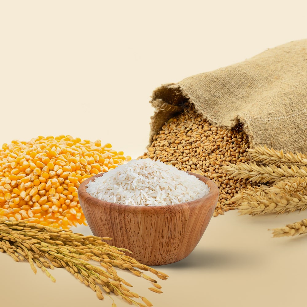 Maize emerges as India's fastest-growing major cereal in record 2025-26 harvest