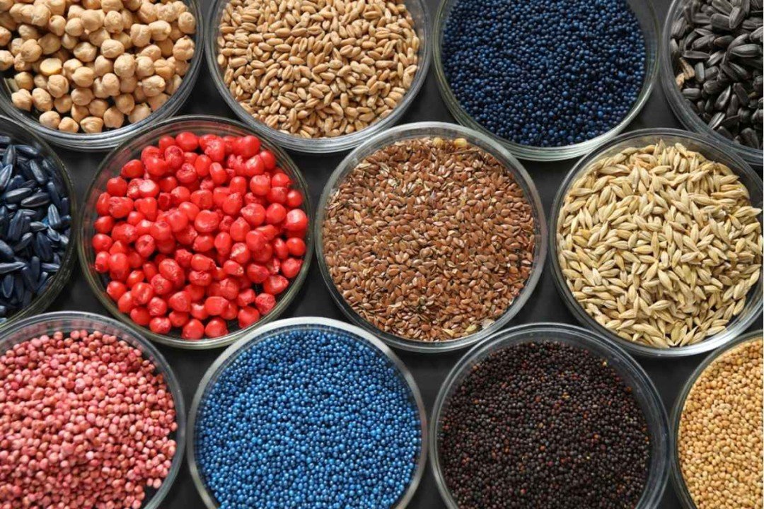 ICAR-IIOR's Smart Seed Coating tech strengthens climate-resilient oil seed farming