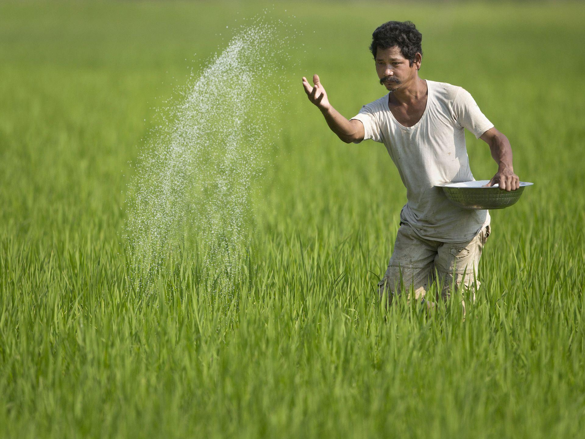 Tyranny of tagging: Why India must end coercive bundling in fertiliser distribution