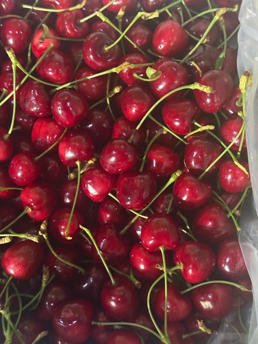 APEDA facilitates export of Premium Areko Cherries and Scentrose Plums from J&K to Singapore